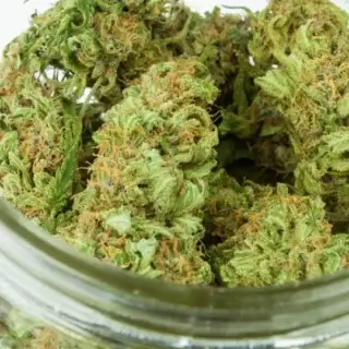 Flores de CBD